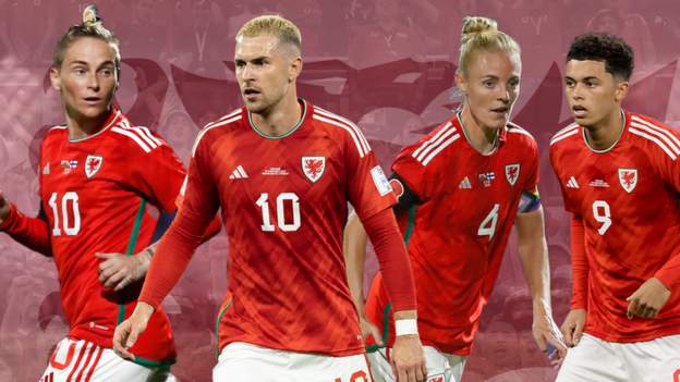 Égalité salariale : la Football Association of Wales conclut un accord historique
