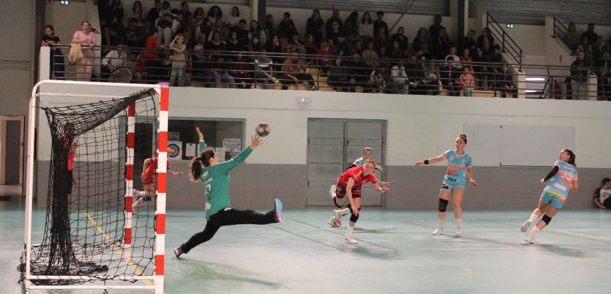 Nice-Toulouse : une fin de match cruelle pour les Aiglons