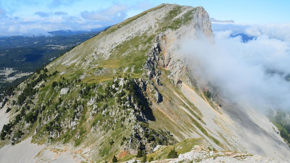 ᑕ❶ᑐ Xataf : tout ce qu’il faut savoir sur la plateforme, ses services et son évolution