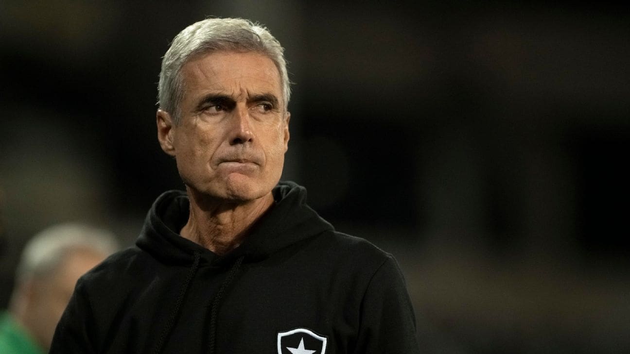 Le milieu de terrain de Botafogo dit qu&rsquo;il « ne veut même pas penser » au possible départ de Luíss Castro et croit en la permanence : « Je crois »
