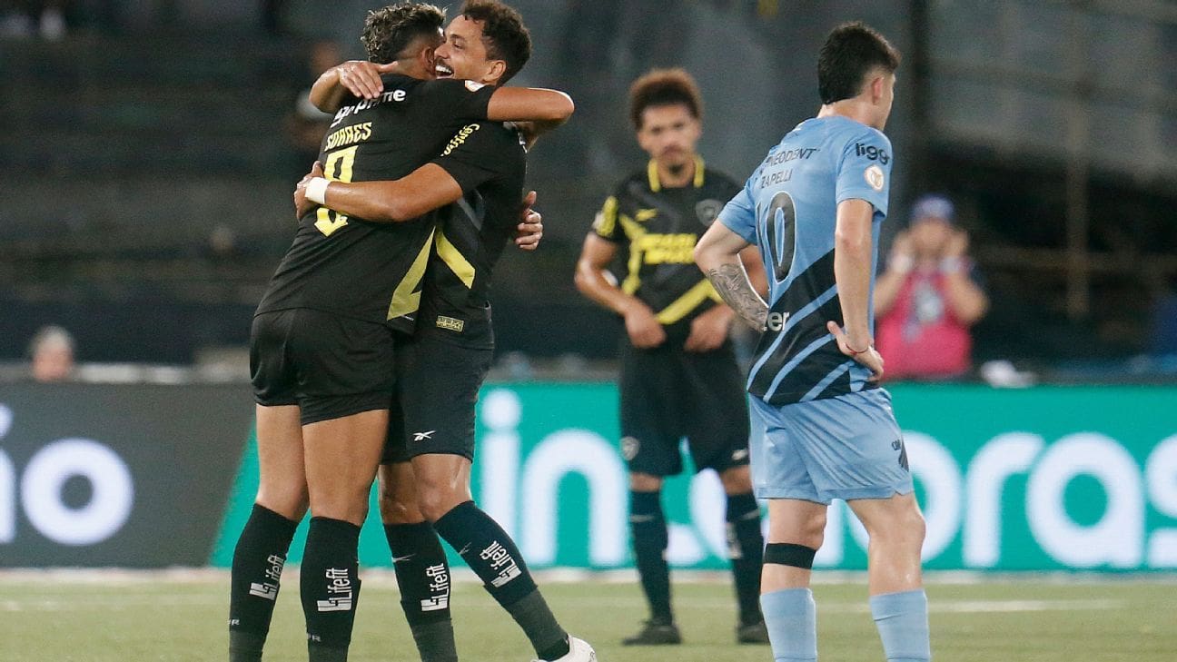 Seneme analyse les buts controversés de Botafogo x Athletico-PR et déclare : « Le football n&rsquo;est pas possible sans VAR »