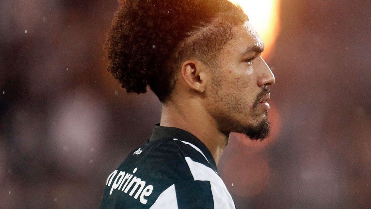 L&rsquo;arbitre justifie l&rsquo;expulsion d&rsquo;Adryelson et inscrit l&rsquo;offensive de Carli après la défaite de Botafogo : « Il nous a volé »